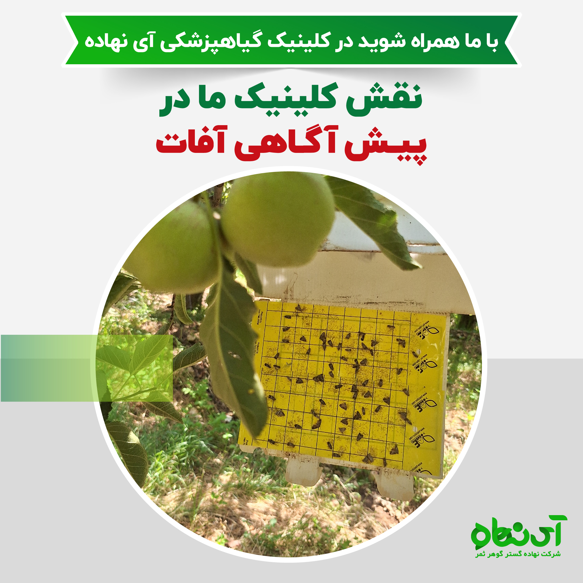 نقش کلینیک در پیش آگاهی آفات